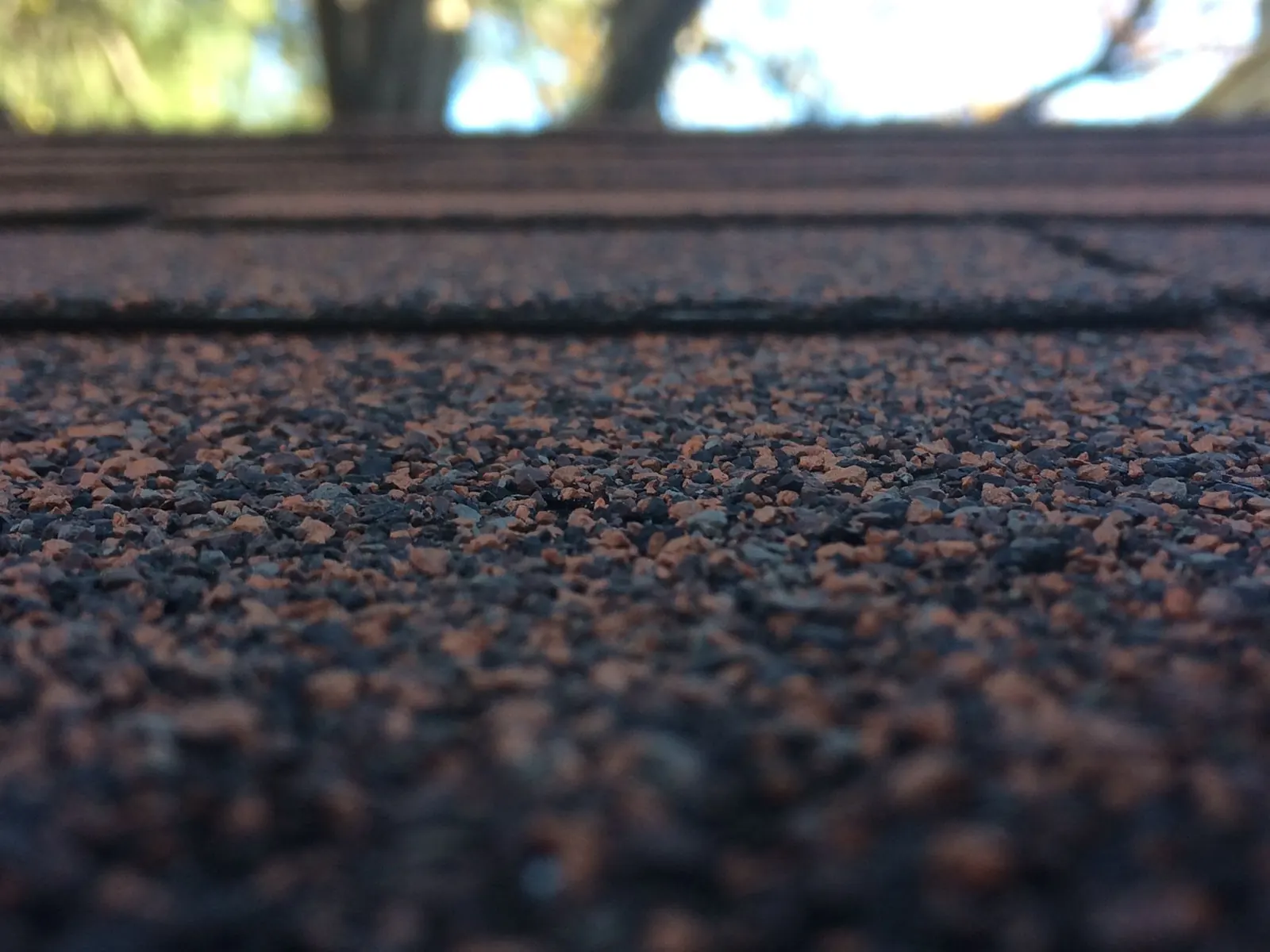 Close-up of asphalt roof shingle granules along a rooftop edge with the yard blurred behind