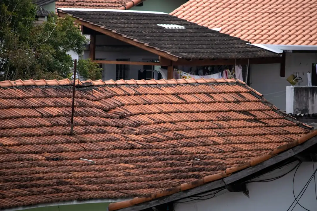 Close-up of aging asphalt shingles on a residential roof